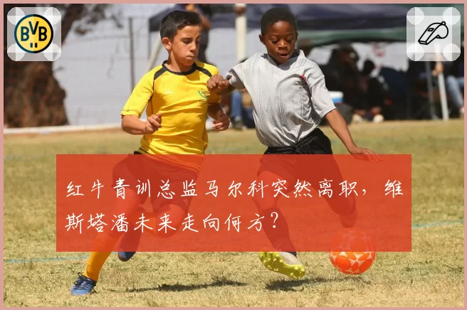 红牛青训总监马尔科突然离职，维斯塔潘未来走向何方？