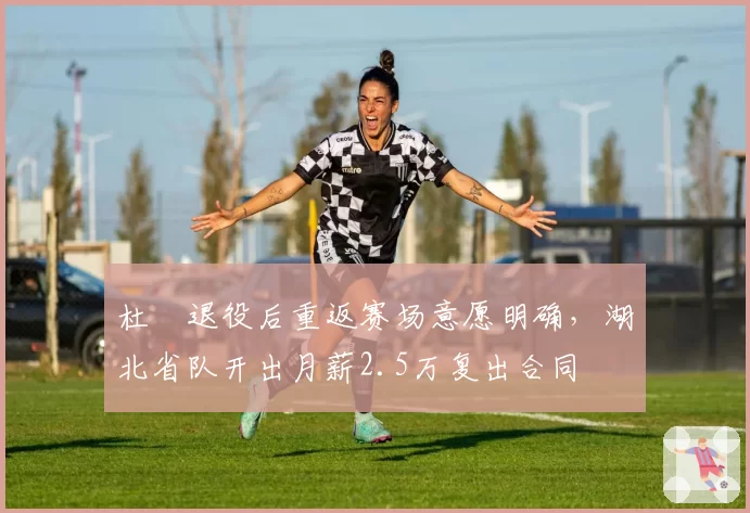 杜玥退役后重返赛场意愿明确,湖北省队开出月薪2.5万复出合同